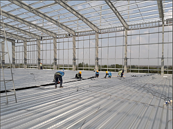 Deck H50W1000 - Thực tế thi công