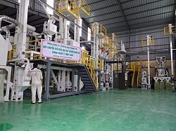 Nhà máy CB Nông Sản Đông Hà